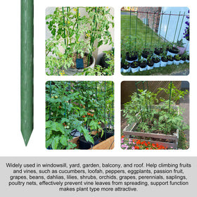Garmeinea stakes feature pointed and flat heads for easy installation.