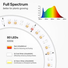 Garpsen Grow Light height adjusts to 67 inches for tall plants.