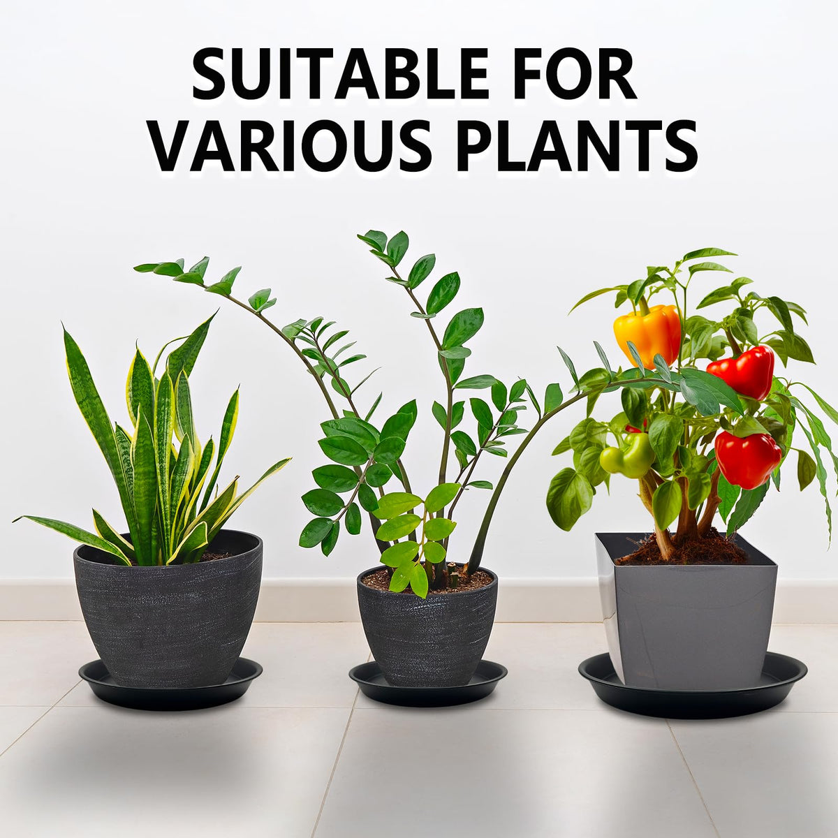 Garrdeen 10-inch plant saucer empty ready for use with larger pots.