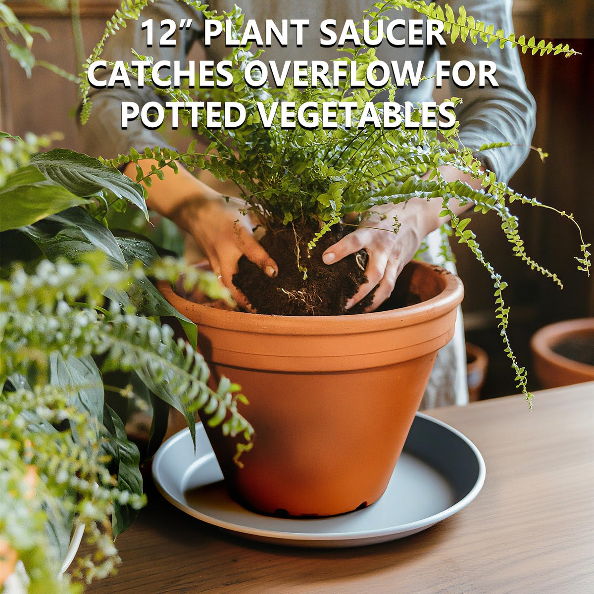 Garrdeen 12-inch gray plant saucer under pot prevents spills on surfaces.