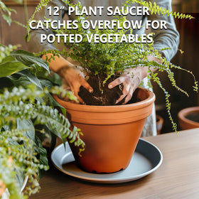 Garrdeen 12-inch gray plant saucer under pot prevents spills on surfaces.
