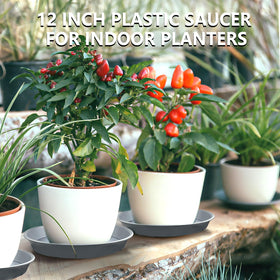 Garrdeen outdoor use large saucers for balcony and patio plants.