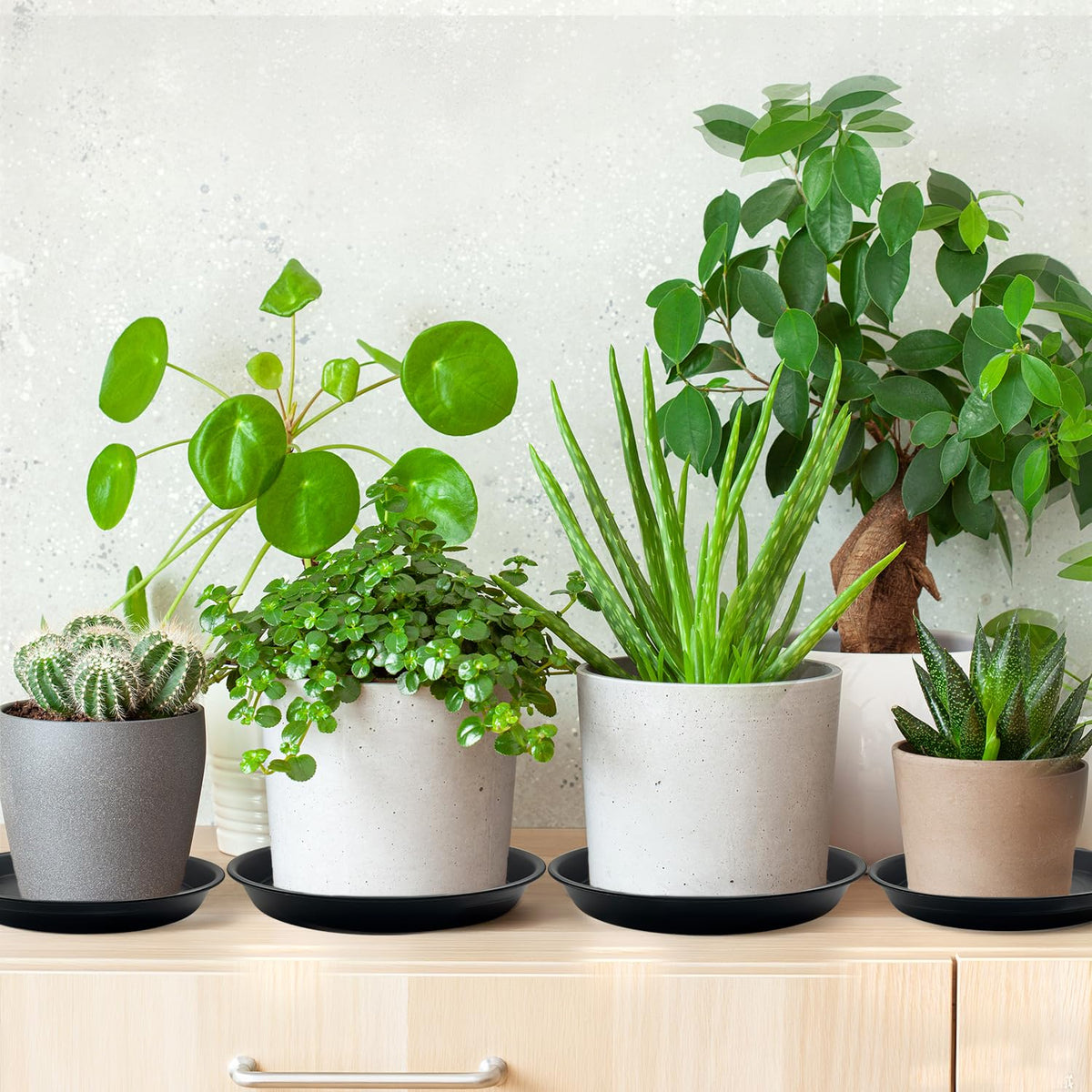 Garrdeen multi-purpose drip trays for plants, humidity trays, or small-item storage