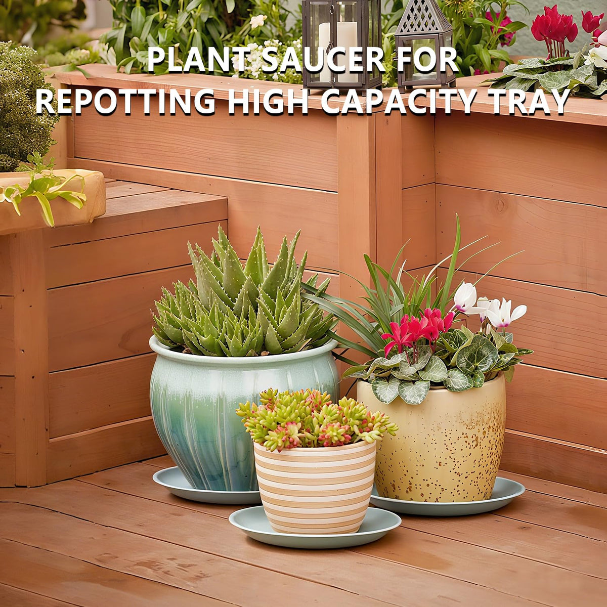 Garrdeen seed-start tray setup for humidity and seedling support.