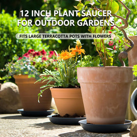 Garrdeen water catcher plate shields tabletops from excess watering.