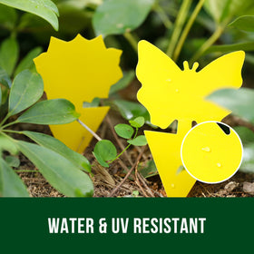 Garsum yellow sticky trap closeup reveals ultra sticky surface.