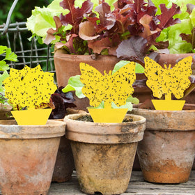 Garsum yellow sticky trap includes setup tools for quick mounting.