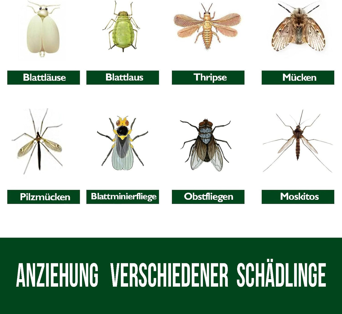 Garsum butterfly shape sticky trap captures whiteflies around potted plants