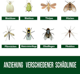 Garsum butterfly shape sticky trap captures whiteflies around potted plants