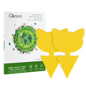 Garsum Fruit Fly Trap yellow sticky tape on plant for pest control and odor-free use