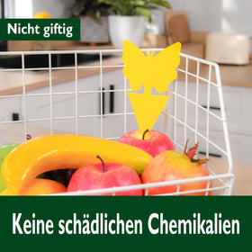 Garsum weatherproof yellow traps endure rain and sun in gardens