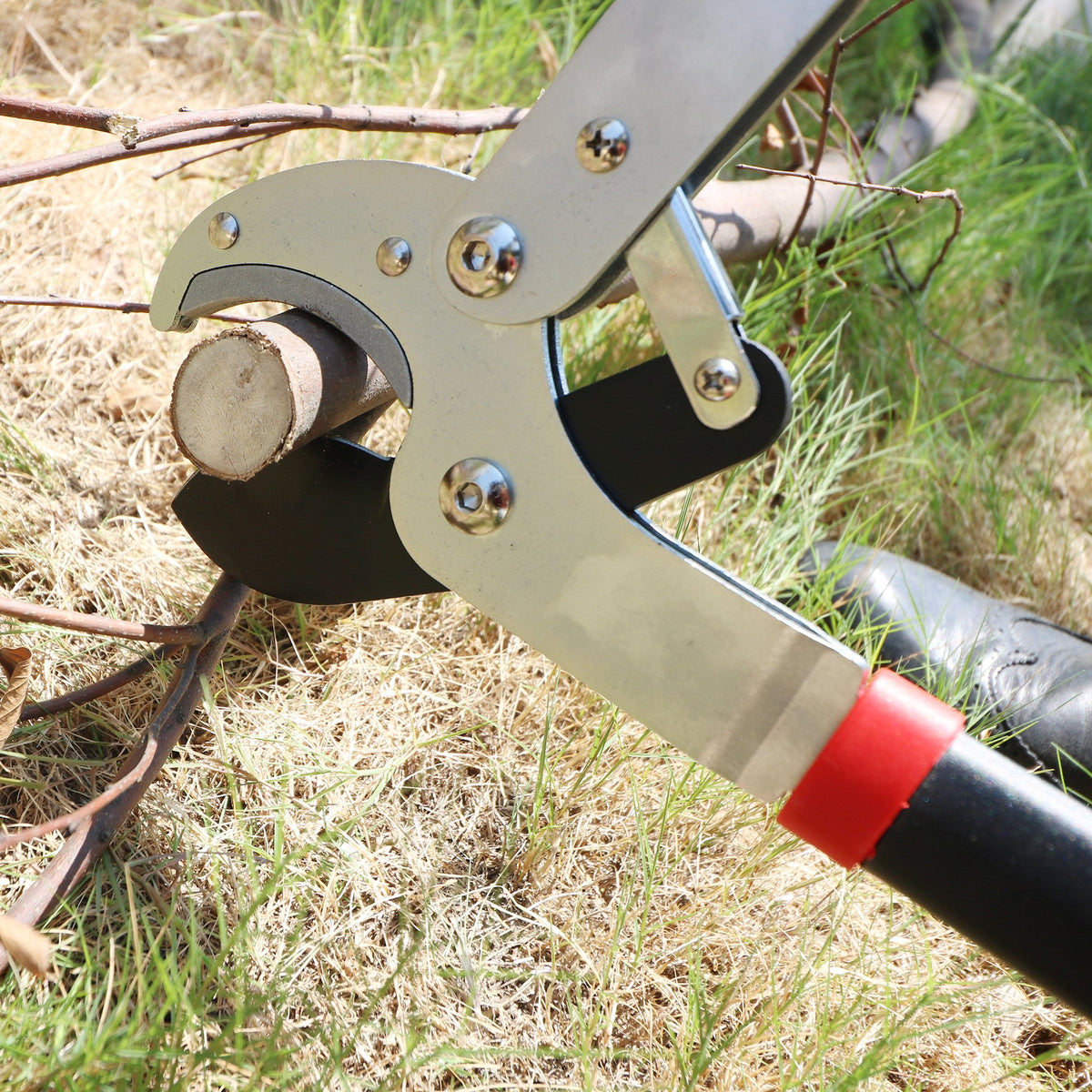 GARTOL in-use pruning demonstrates efficient trimming of small branches with minimal effort.