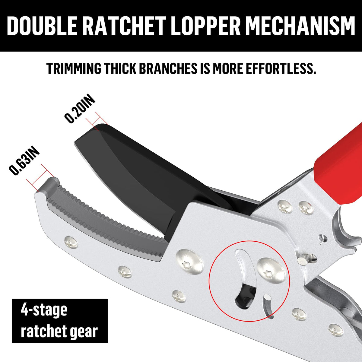GARTOL loppers 4-gear ratchet system enables clean, efficient cuts