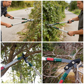GARTOL extendable loppers used for overhead branch trimming from the ground.
