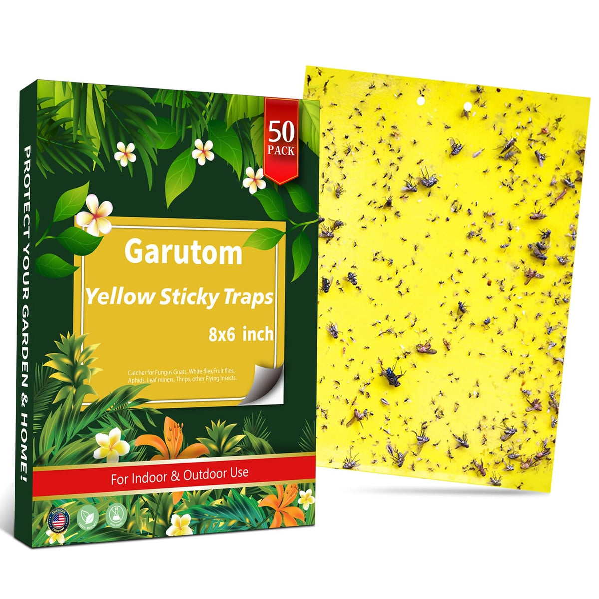 Garutom yellow sticky trap 6x8 inch dual-sided in use to attract and trap flying insects.