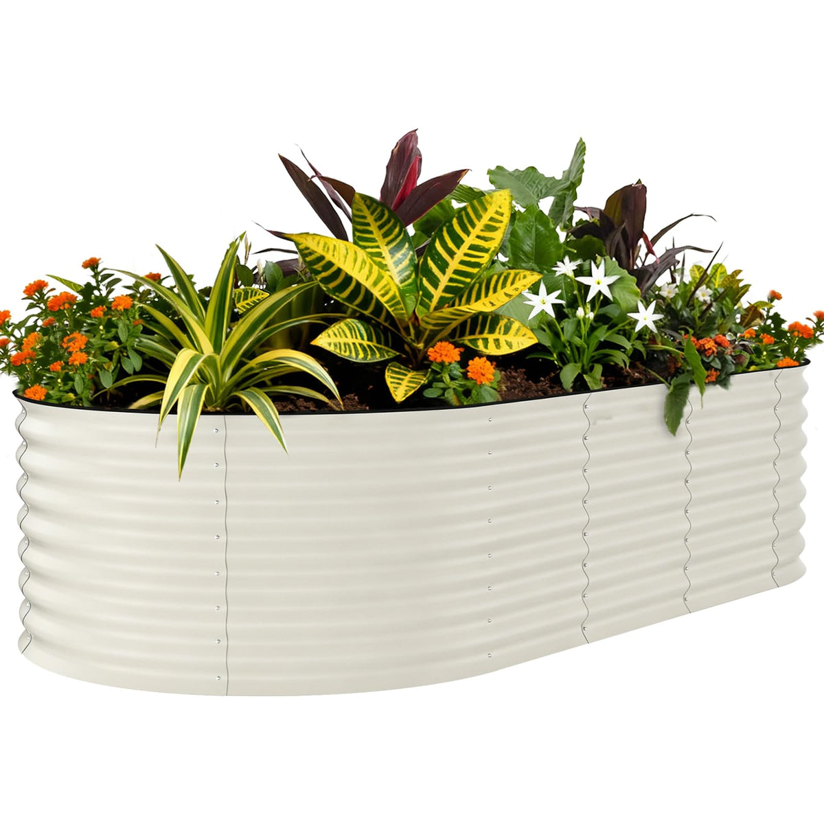 Garvee 8x4x2ft oval garden bed shows a sturdy oval frame for deep-root vegetables.