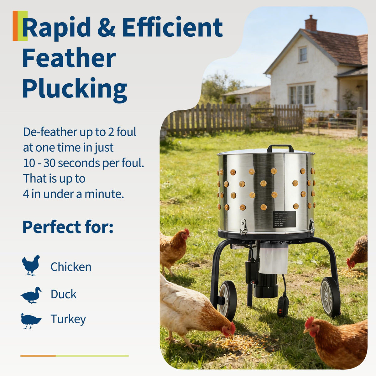 Garvee Chicken Plucker in use with two chickens illustrates rapid processing