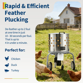 Garvee easy-clean design with removable parts simplifies daily maintenance.