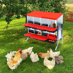 Removable trays for easy cleaning and healthier coop hygiene.