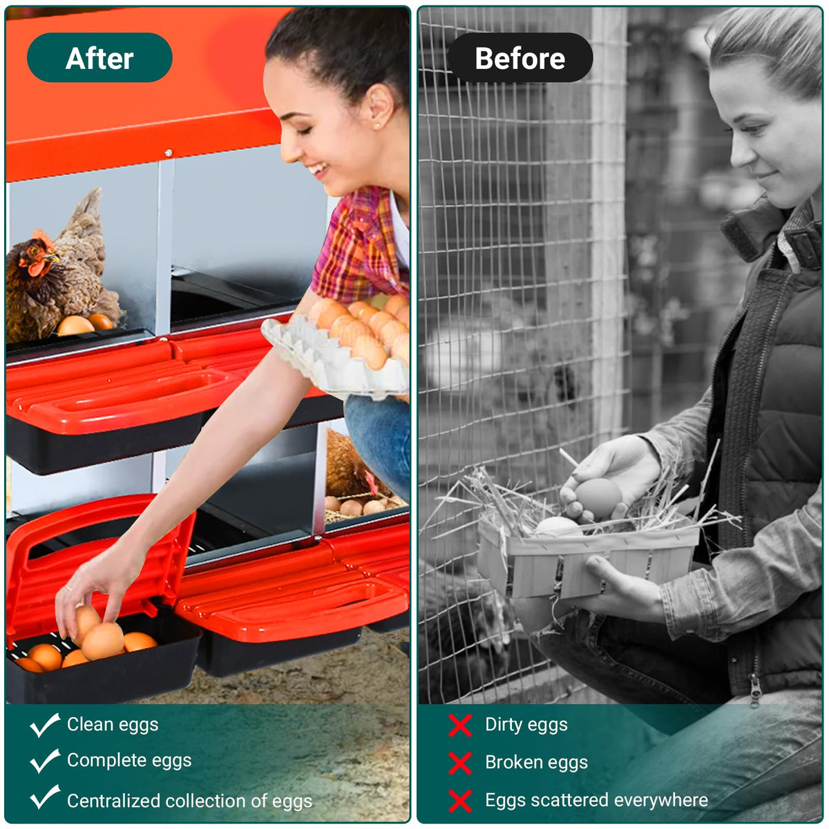 Ventilation openings promote airflow and hen comfort.