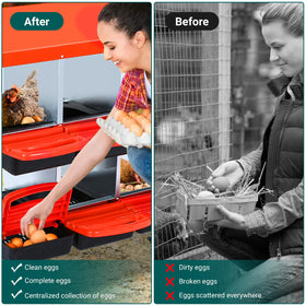 Ventilation openings promote airflow and hen comfort.
