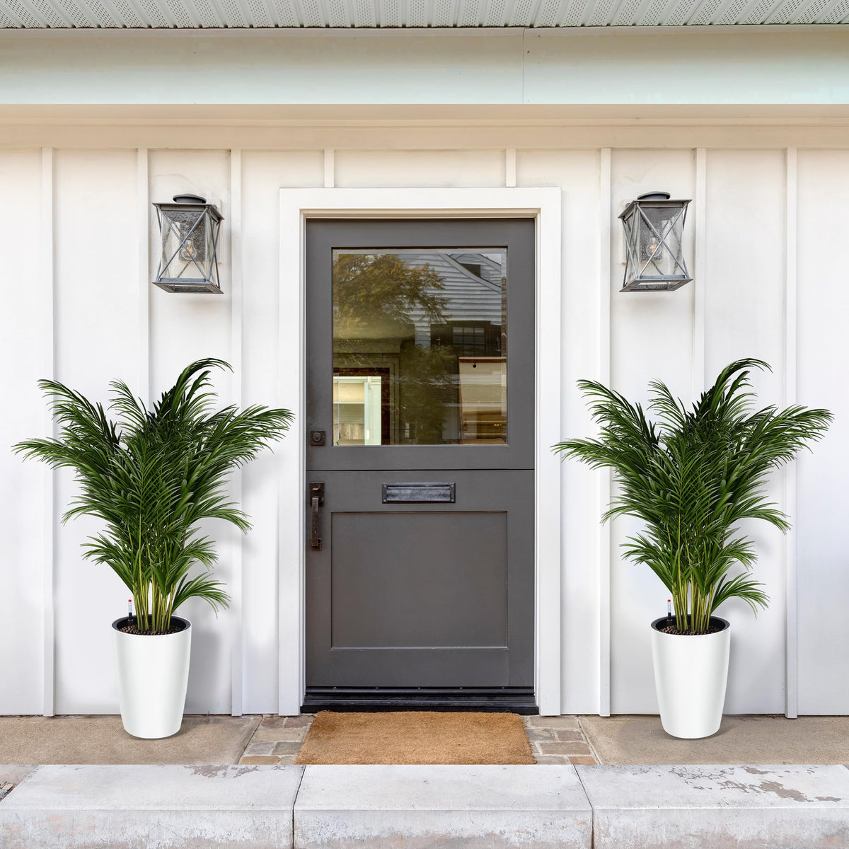 Garvee tall planter ideal for patios and hallways