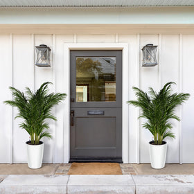 Garvee tall planter ideal for patios and hallways