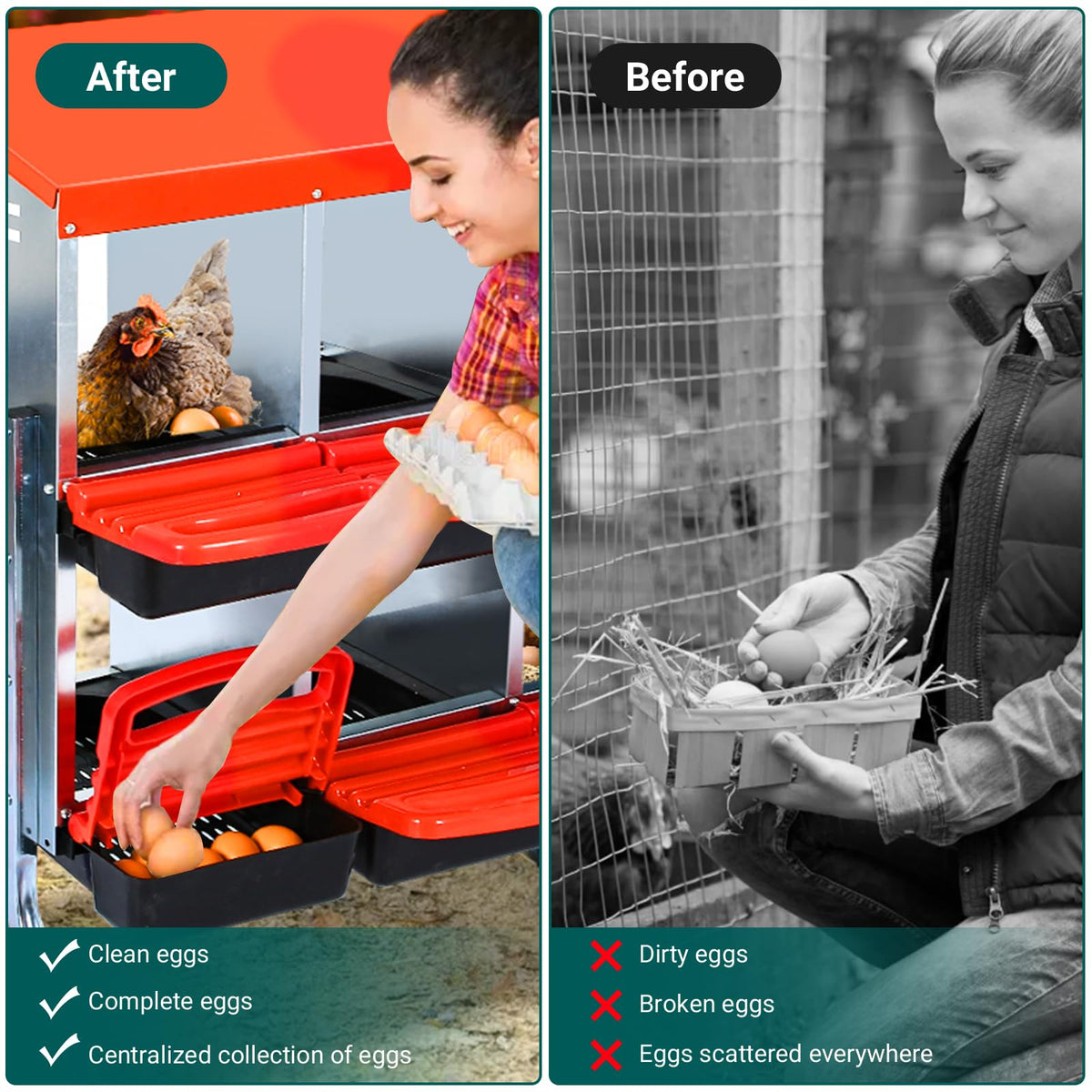 GarveeLife roll-away egg tray design for secure collection of fresh eggs.
