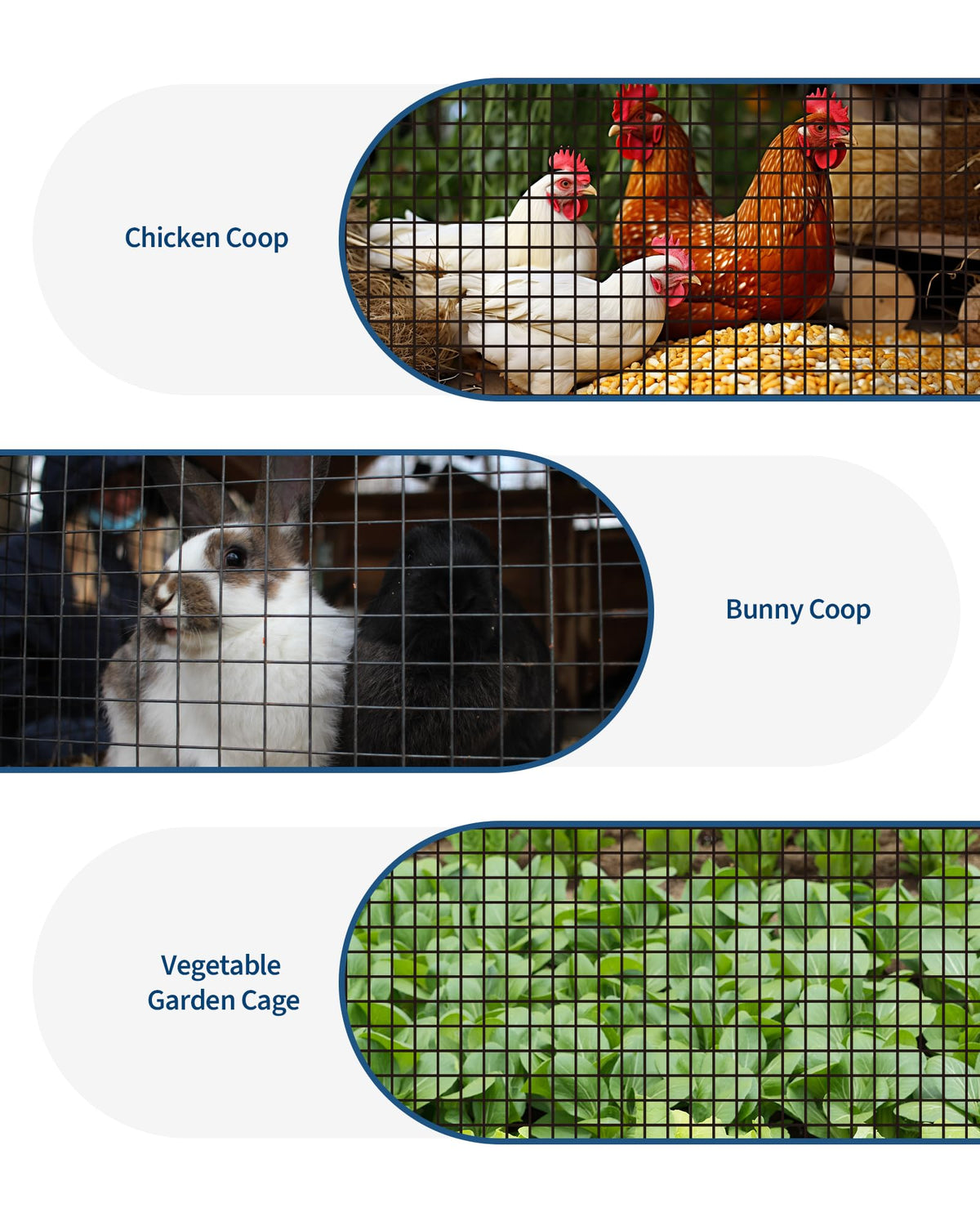 GarveeTech chicken coop fencing supports secure poultry housing.