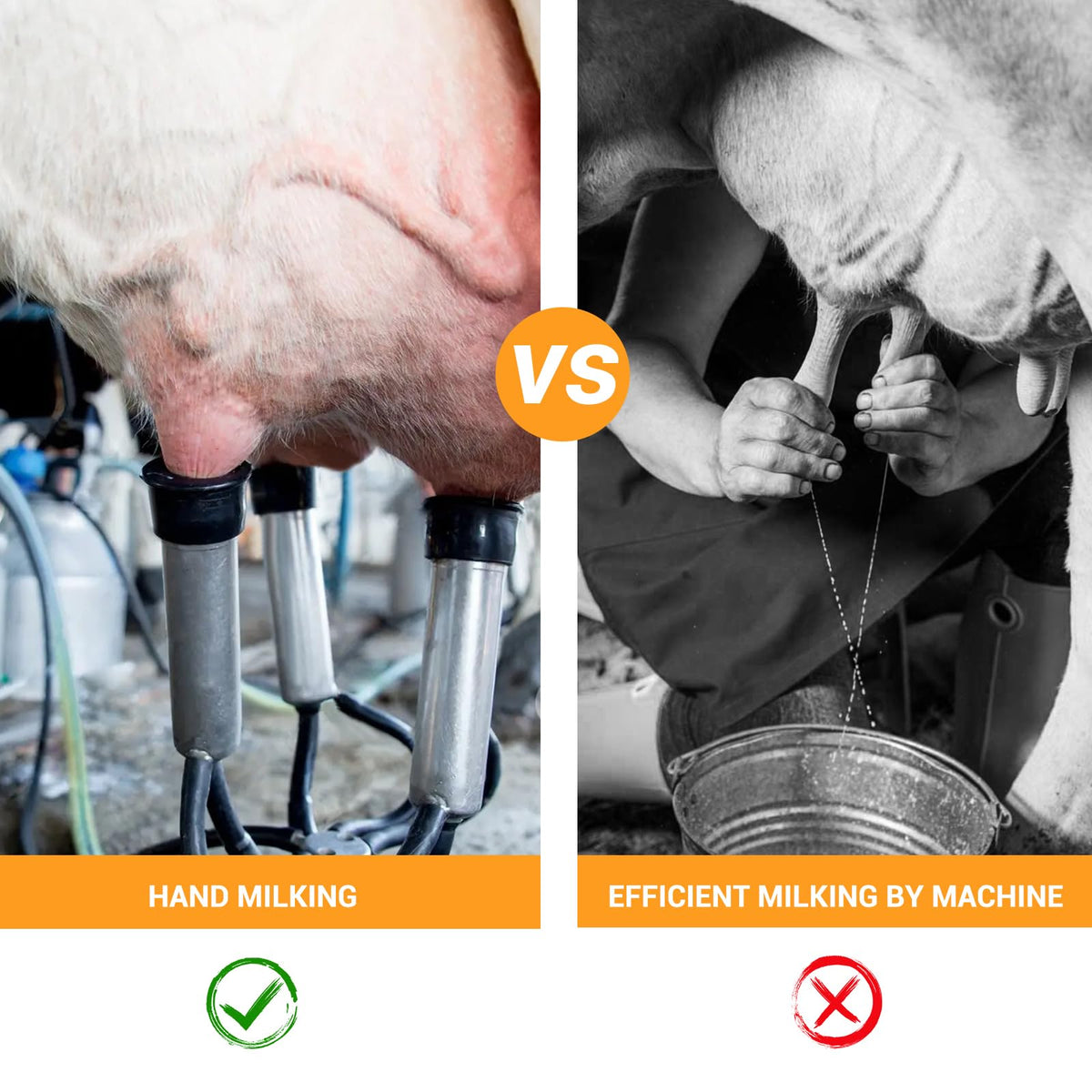 GarveeTech goat/sheep suction heads enable multi-species milking options.