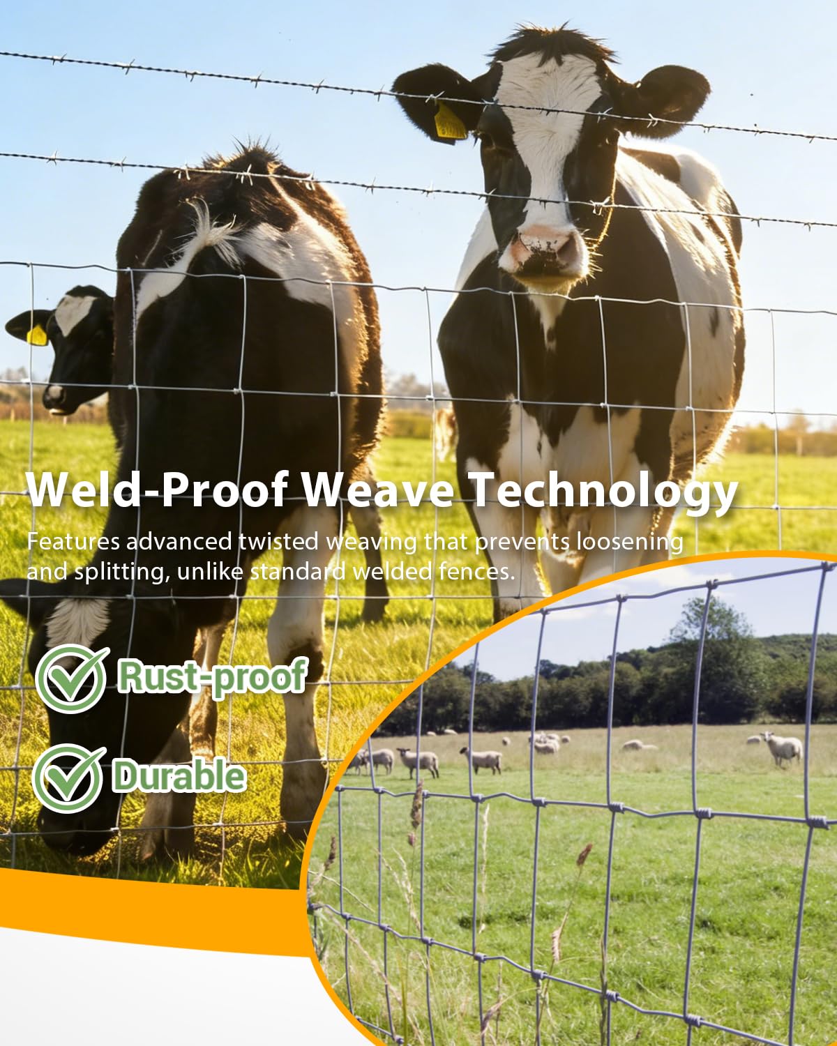GarveeTech galvanized fence along pasture; easy to install and reposition for flexible management.