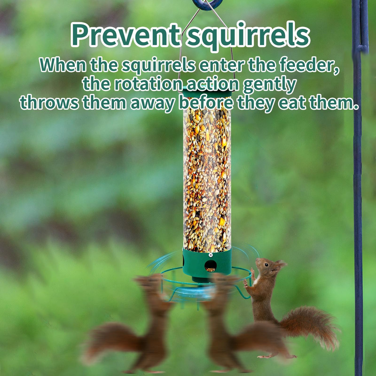 GASDBYUB anti squirrel rotating perch ring deters access to seed