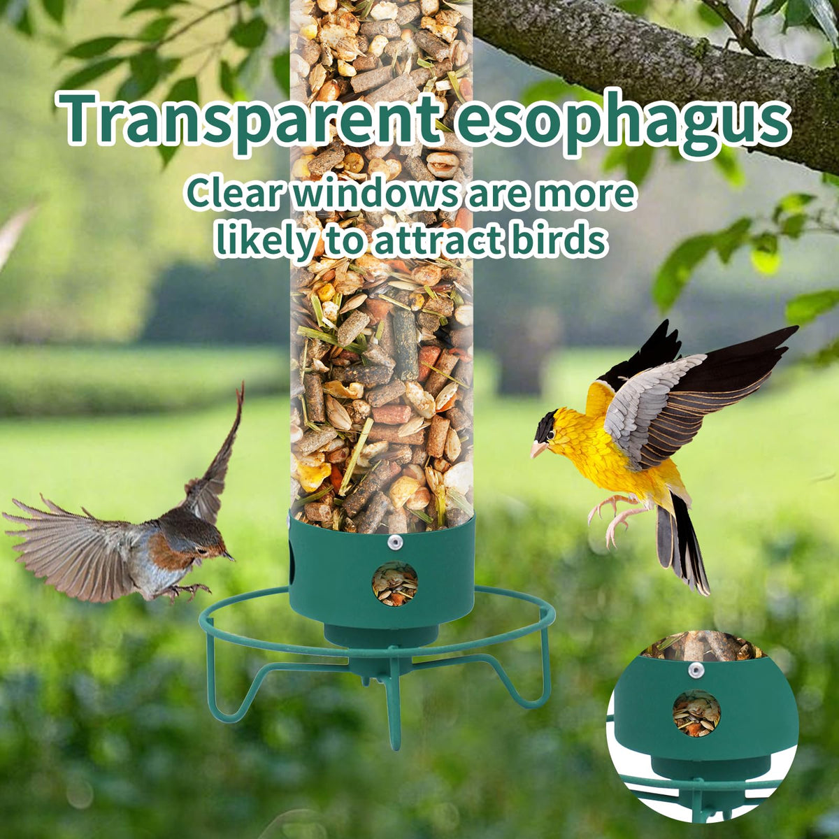 GASDBYUB four port feeding system supports multiple visiting birds