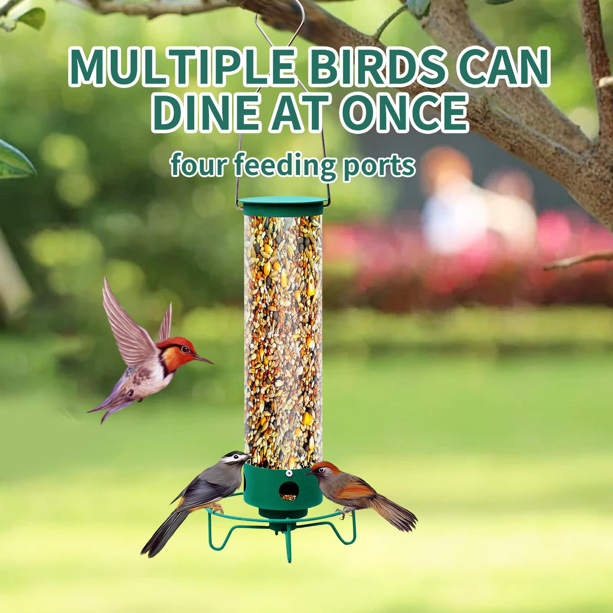 GASDBYUB metal feeder seed tube shows seeds clearly for birds