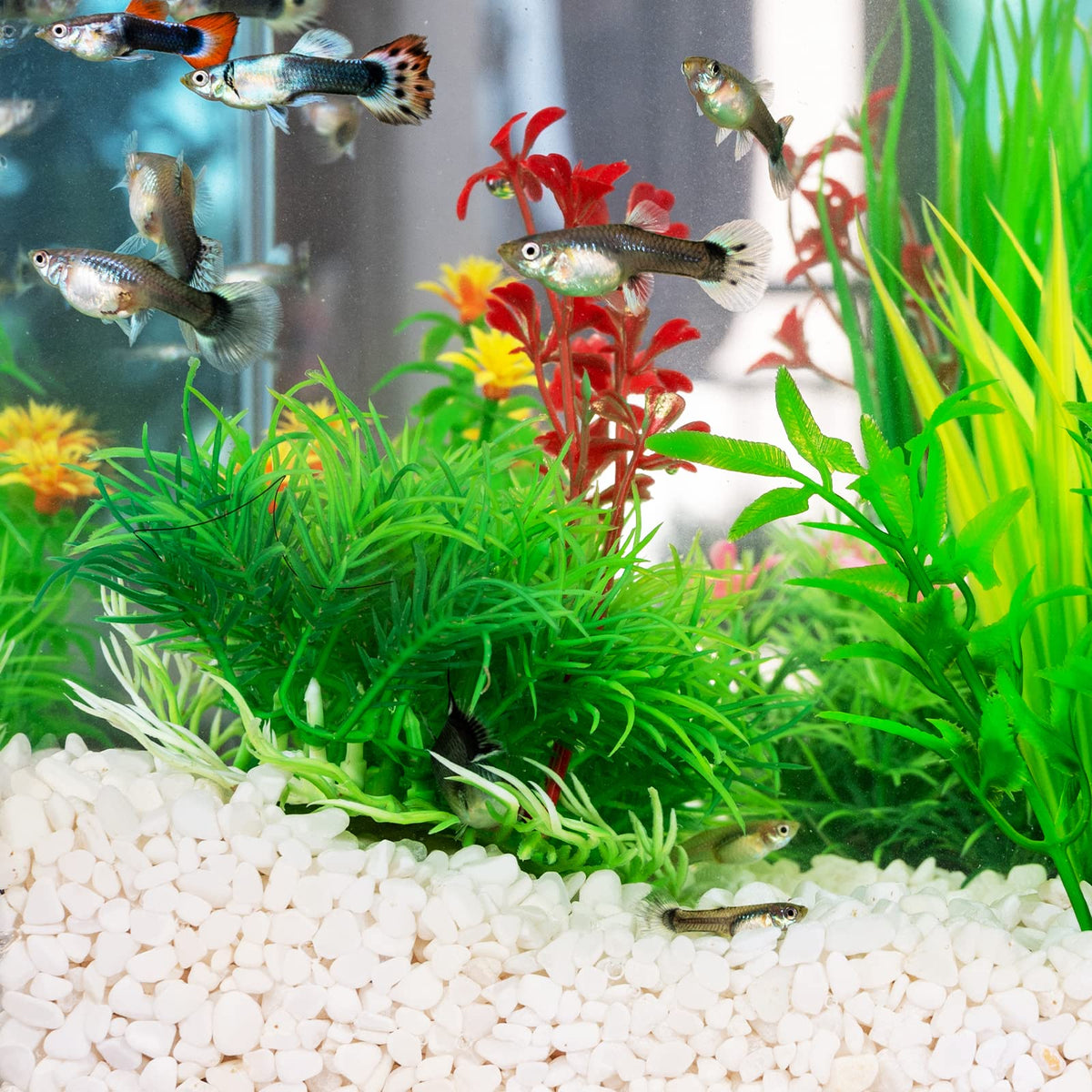 GASPRO highly polished gravel resists fading and keeps a crisp look.