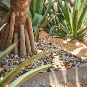 GASPRO decorative rocks for borders brighten sidewalks and yard edges.