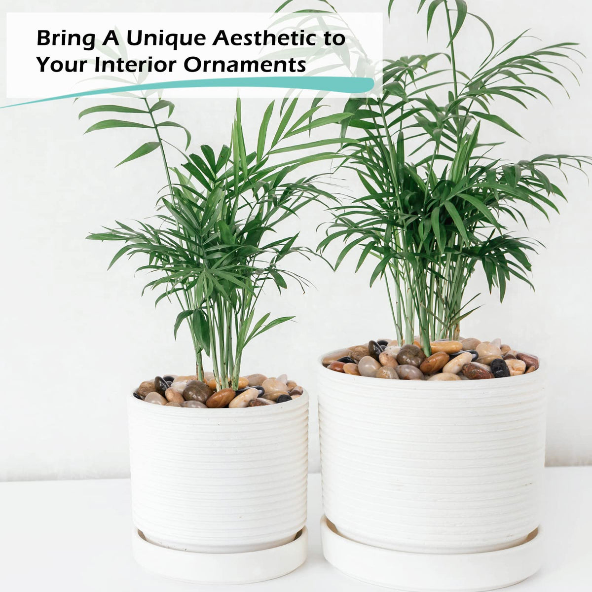 GASPRO one-and-three-quarter-inch pebbles create varied, natural planter scenes.