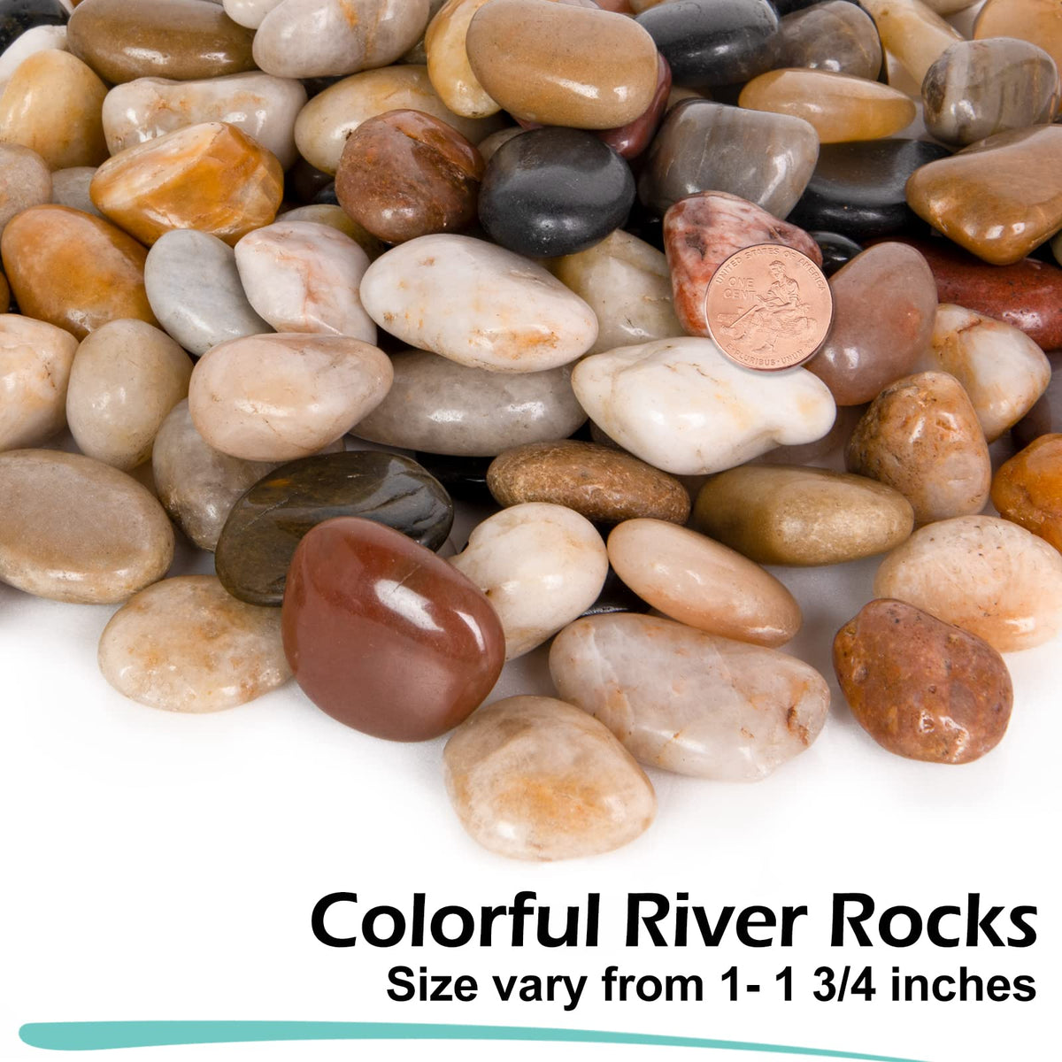 GASPRO polished river stones for aquariums create a clean, reflective underwater accent
