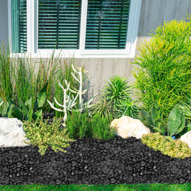 GASPRO vase fillers and display rocks for elegant arrangements