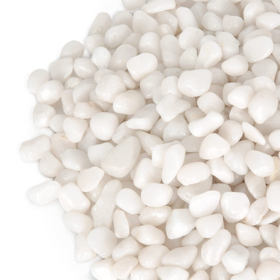 GASPRO white pebbles for plants polished 3/8-inch enhances indoor displays