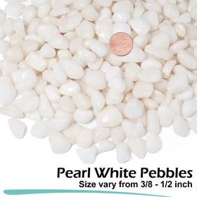 GASPRO white pebbles vase decor 3/8-inch for elegant arrangements