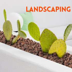 Handpicked GasSaf lava rocks ensuring consistent size and premium look