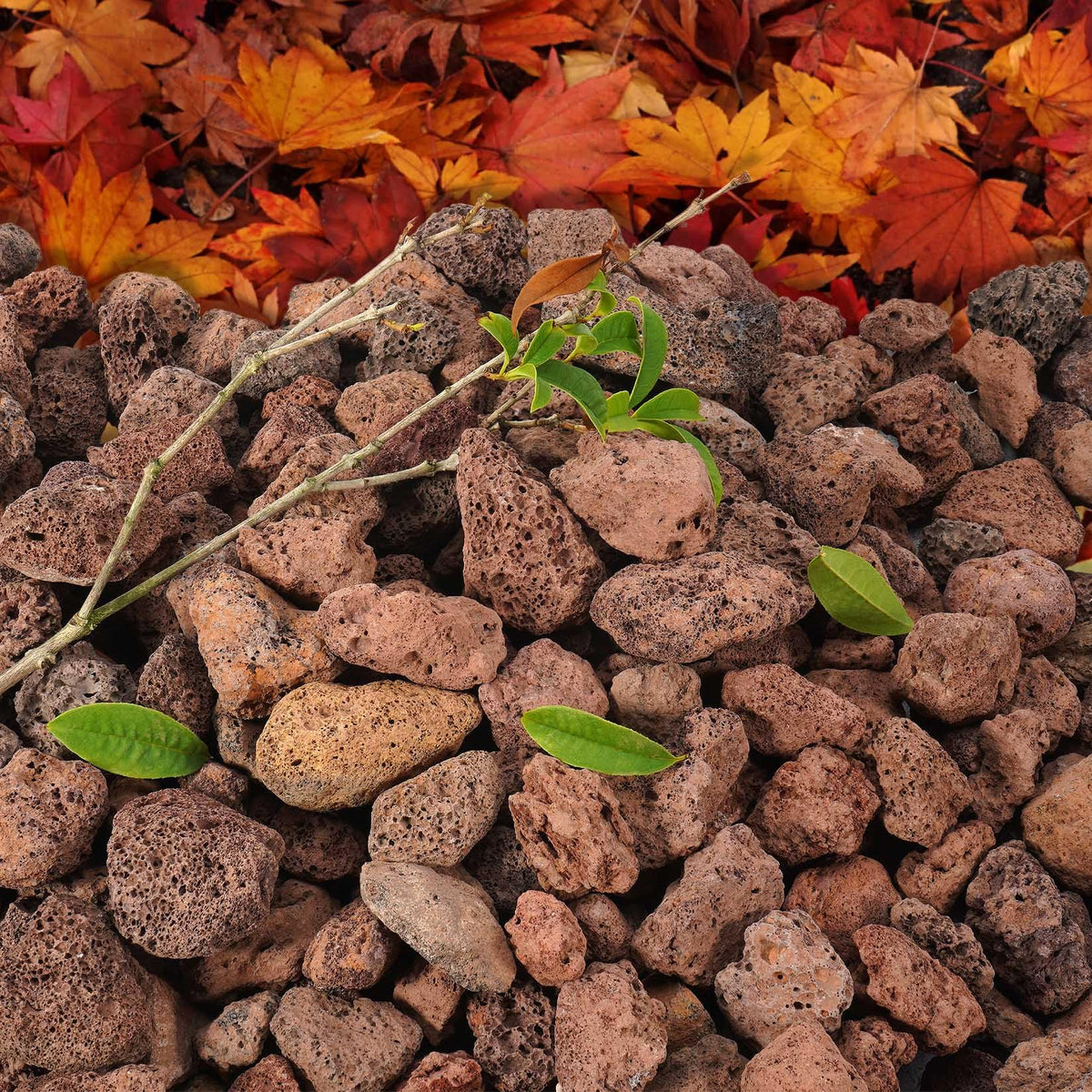 GasSaf red lava rocks used in landscaping to brighten planters and garden beds