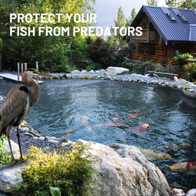GasXpert pond netting captures leaves and debris for easier maintenance