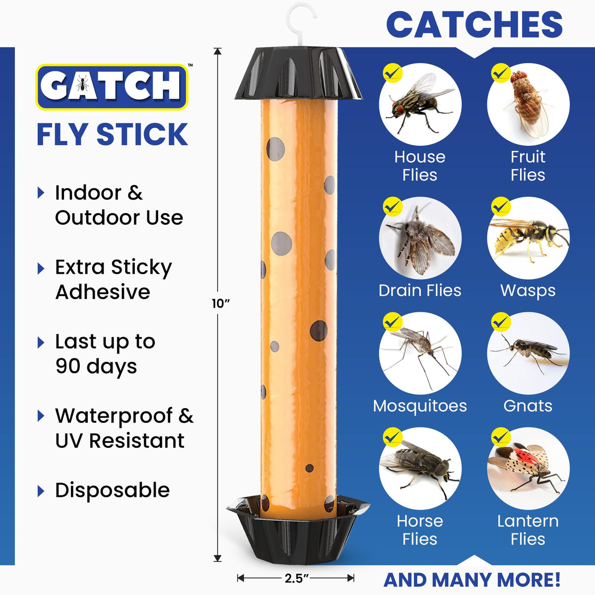 GATCH adhesive close-up shows strong grip on gnats and mosquitoes.