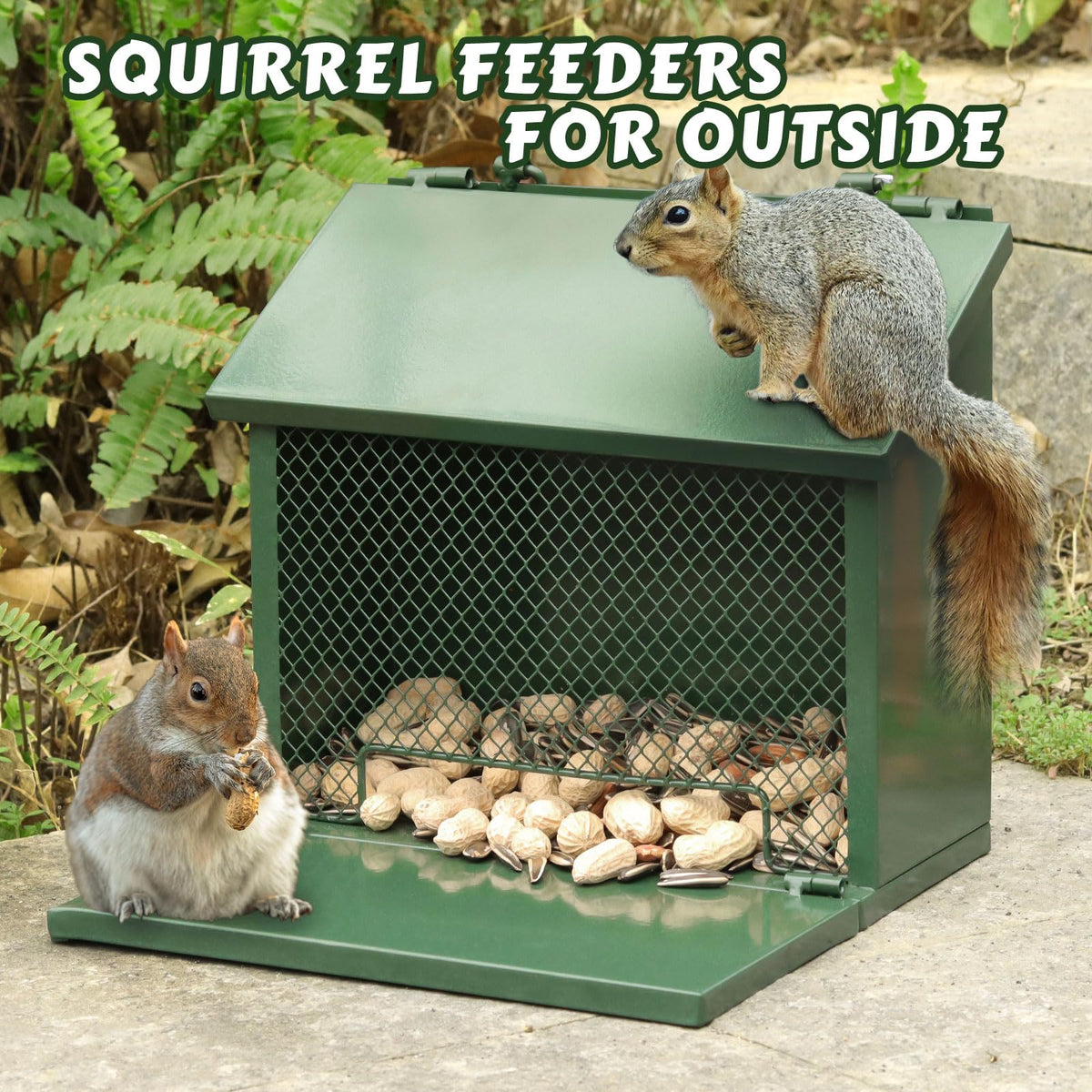 Gavinjitao squirrel feeder outdoor filled capacity shows ample storage