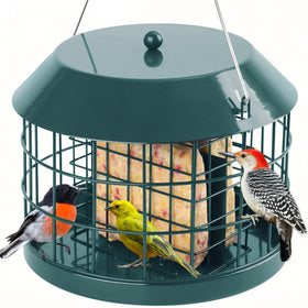 Gbekery caged suet bird feeder outdoors enables safe small-bird feeding
