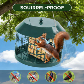 Gbekery double suet cages hold suet, bread, or seed cakes for variety
