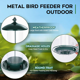Gbekery 360 degree feeding tray allows multiple birds to feed at once