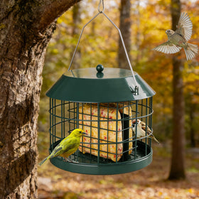 Gbekery squirrel-proof metal feeder protects feed from larger visitors